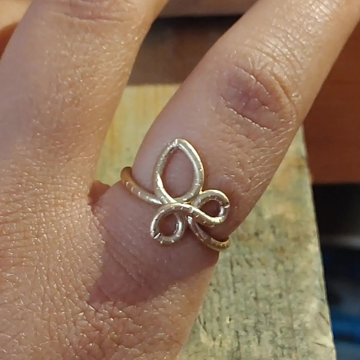 The Simple Promise Ring in Silver