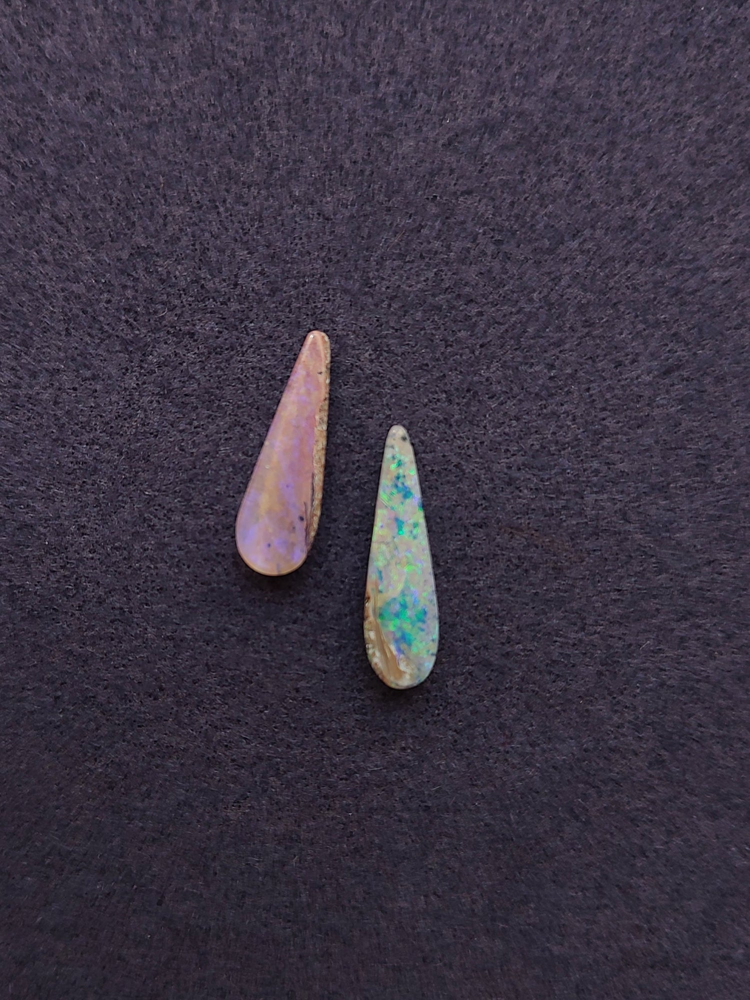 OPALS