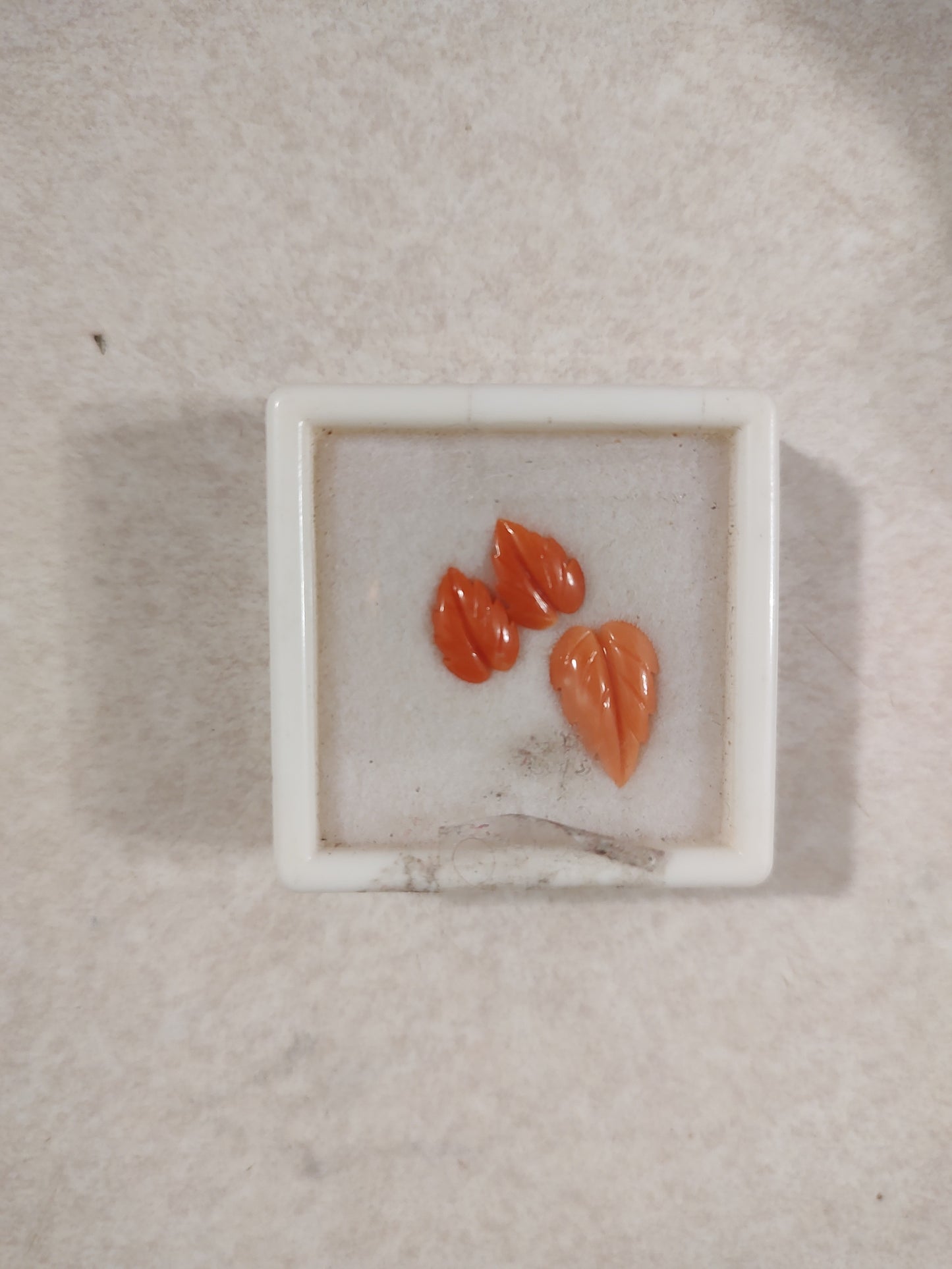 Coral Leafs (Parcel of 3)