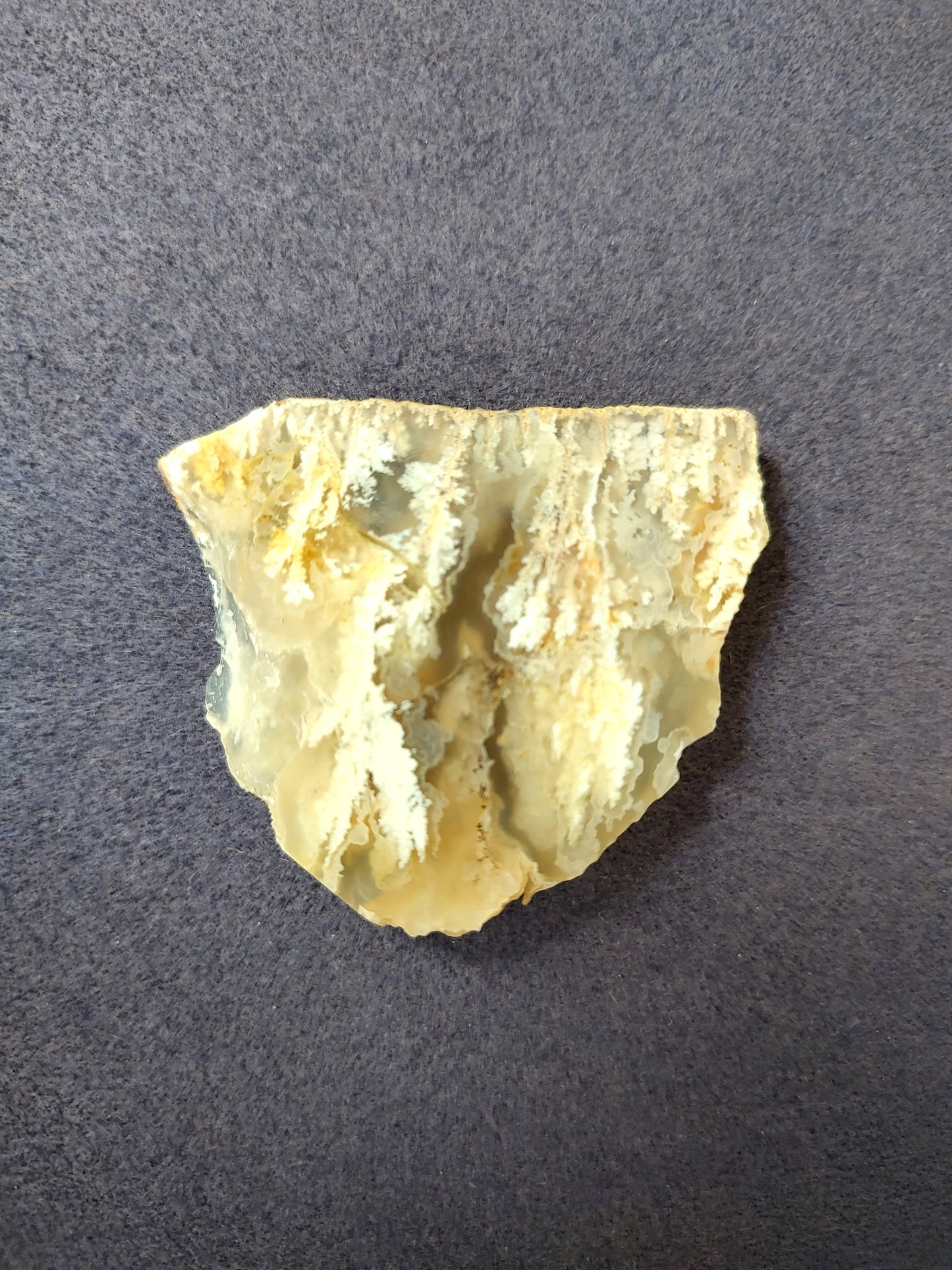 Graveyard Point Plume Agate