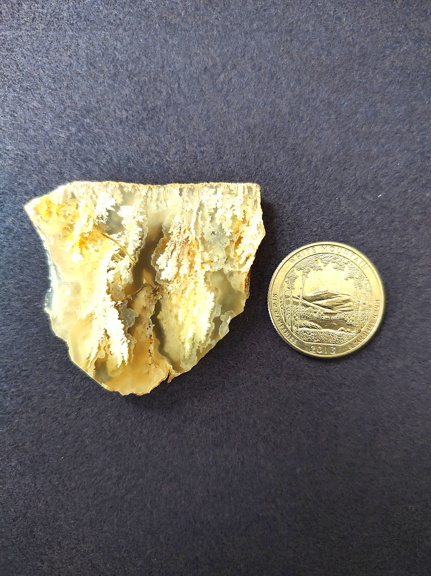 Graveyard Point Plume Agate