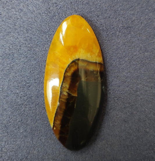 Bumblebee Jasper