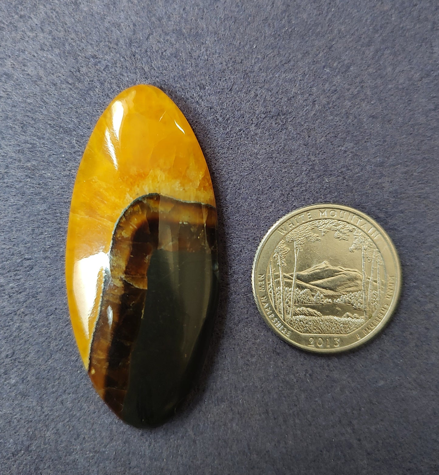 Bumblebee Jasper