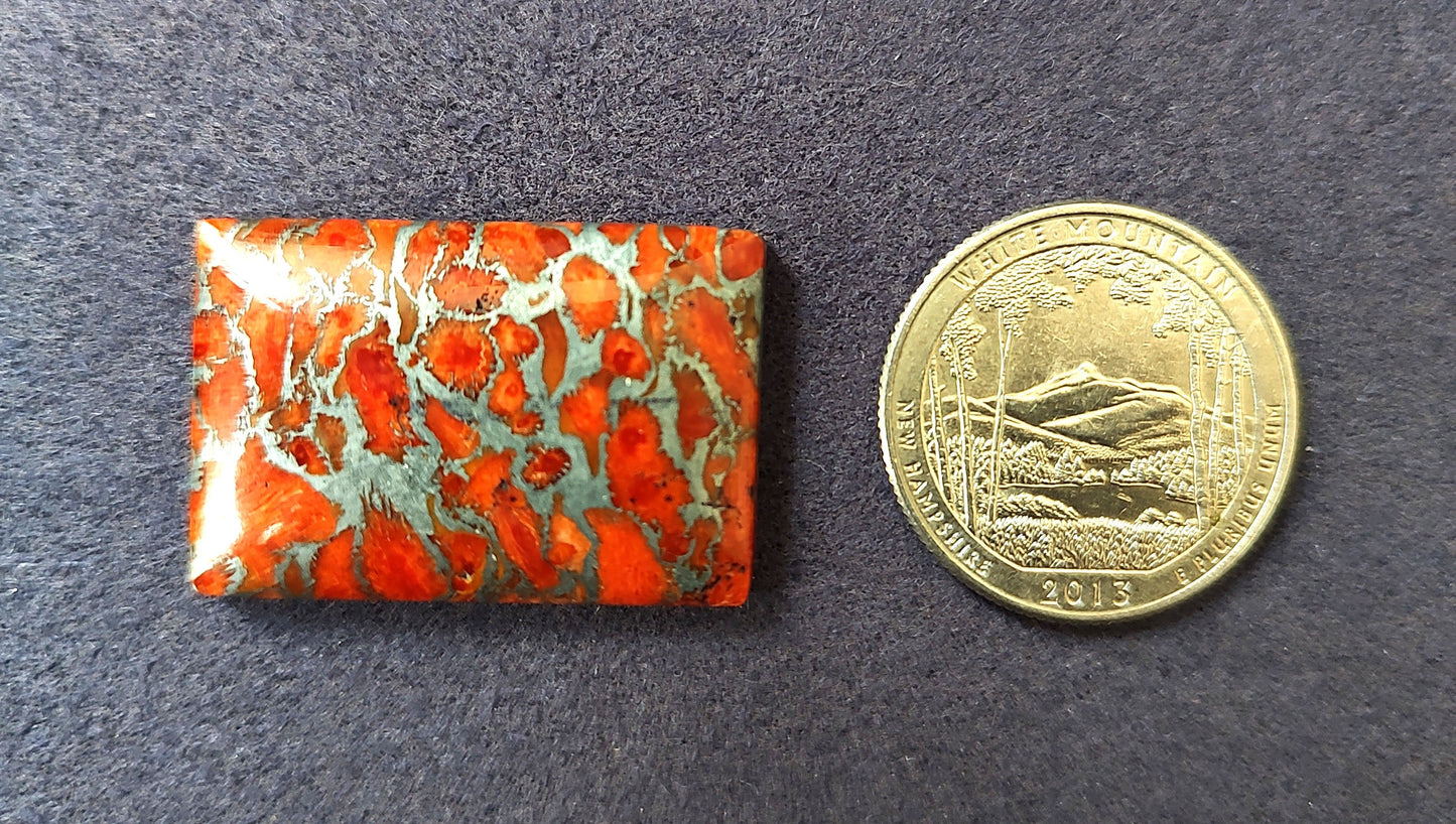 Some sort of Agatized Dinnosaur Bone Cabochon