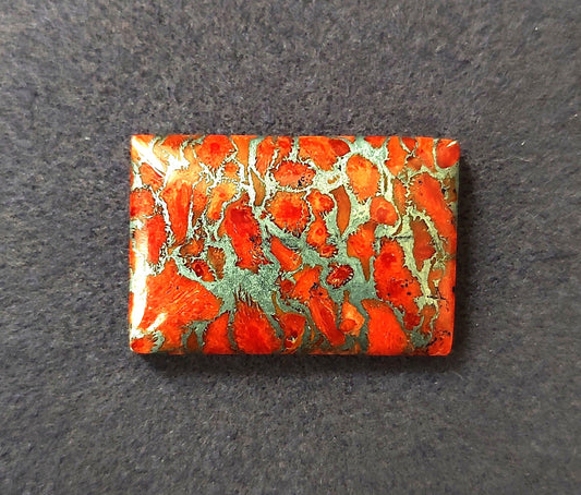 Some sort of Agatized Dinnosaur Bone Cabochon