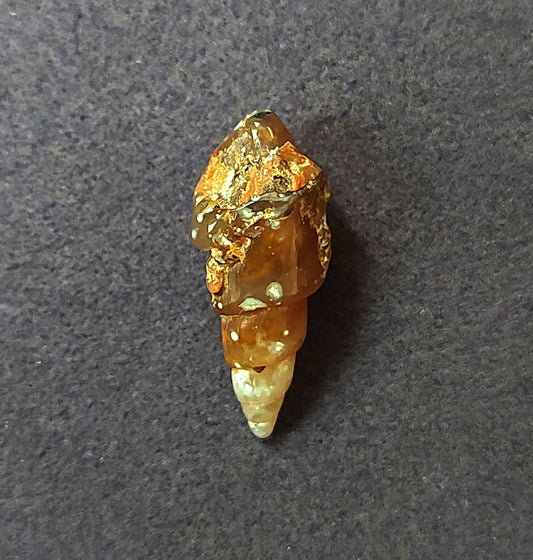 Some sort of Agatize Fossil Shell