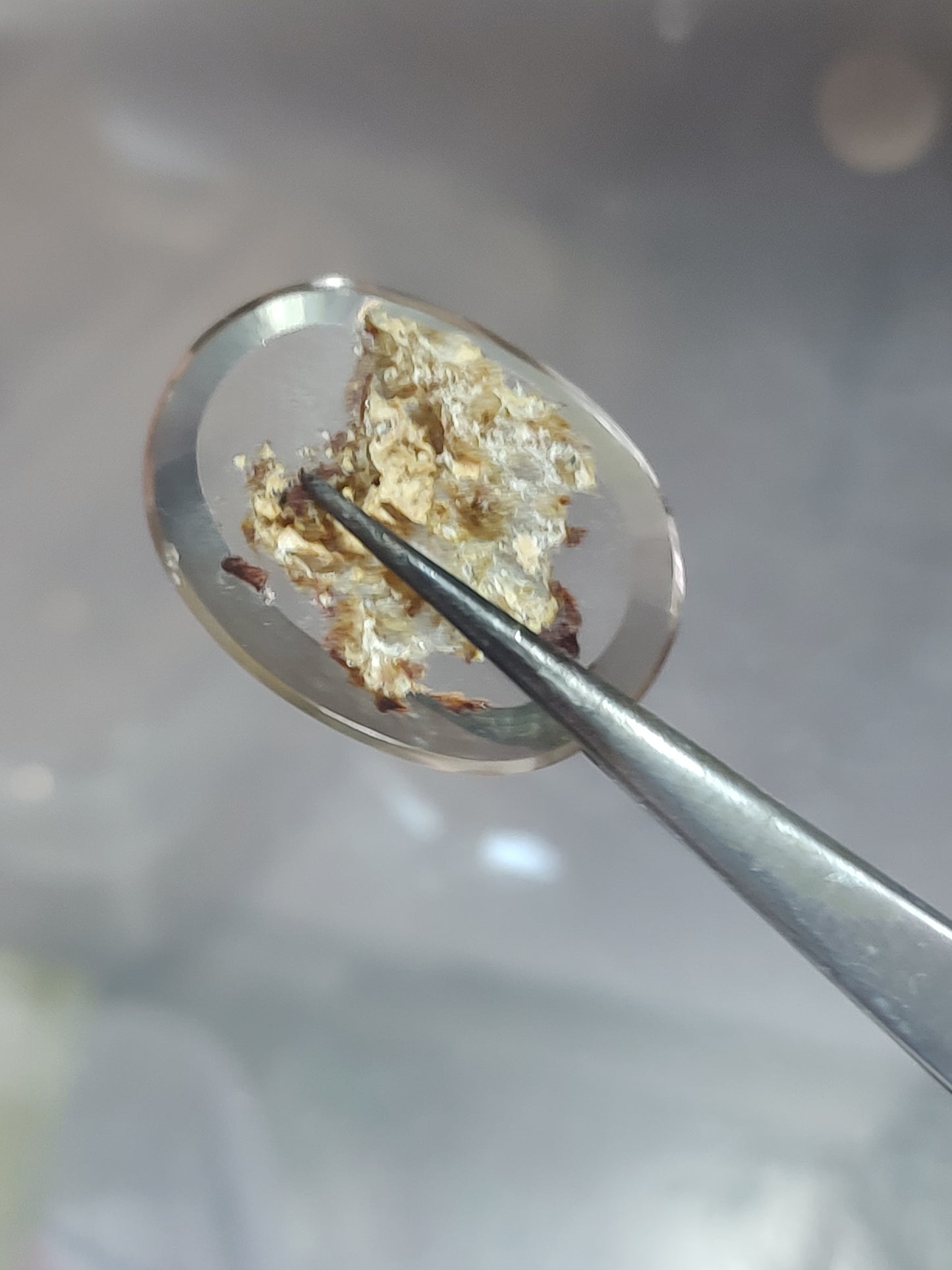 Oval Lodolite (Garden Quartz) cabochon
